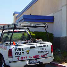 Monrovia Bee Removal Guys Service Truck