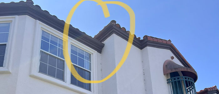 Pasadena Bee Removal Guys Tech Michael
